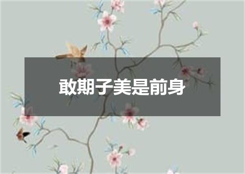 敢期子美是前身