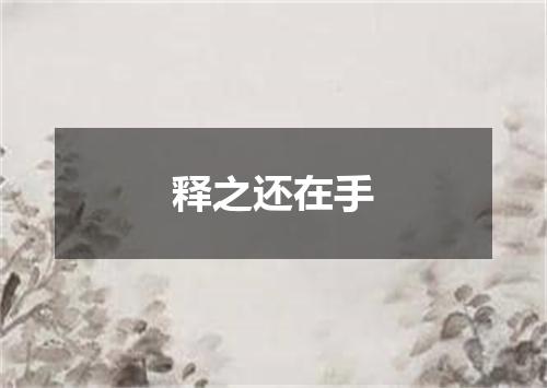 释之还在手