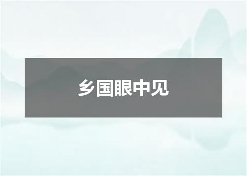 乡国眼中见