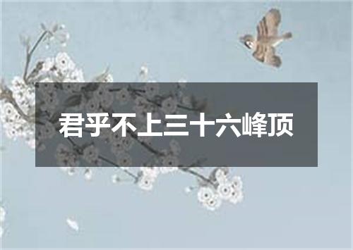 君乎不上三十六峰顶