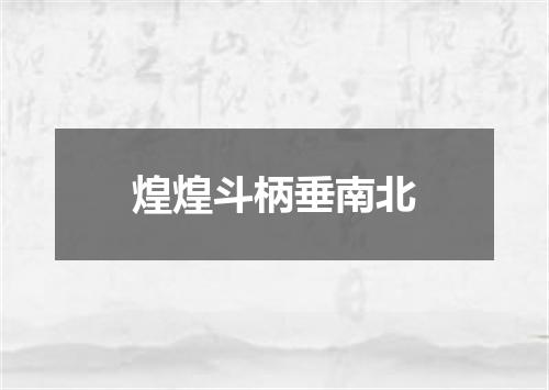 煌煌斗柄垂南北