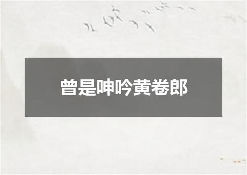曾是呻吟黄卷郎