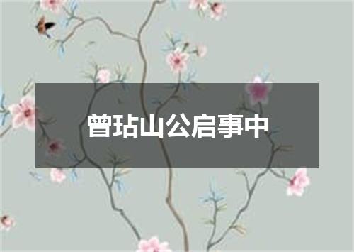 曾玷山公启事中