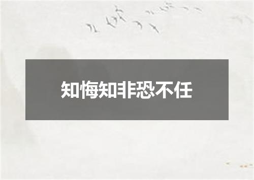 知悔知非恐不任