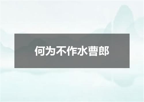 何为不作水曹郎