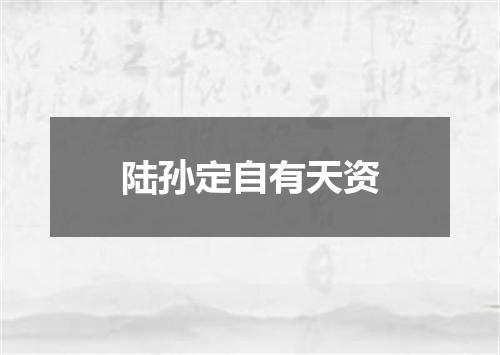 陆孙定自有天资