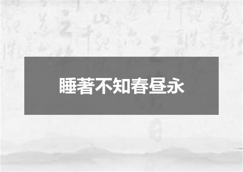 睡著不知春昼永