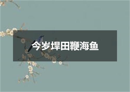 今岁垾田鞭海鱼