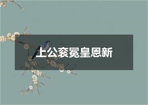 上公衮冕皇恩新