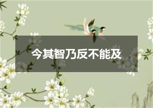 今其智乃反不能及