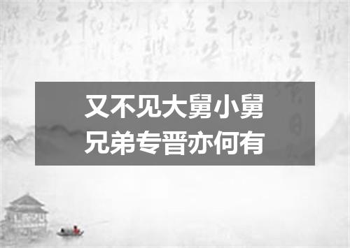 又不见大舅小舅兄弟专晋亦何有