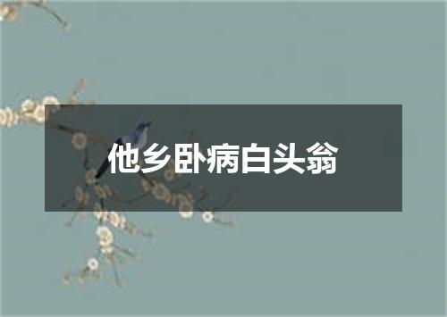 他乡卧病白头翁
