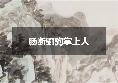 肠断骊驹掌上人