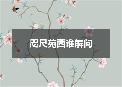 咫尺苑西谁解问