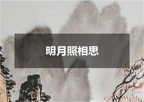明月照相思