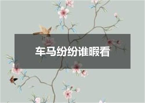 车马纷纷谁暇看