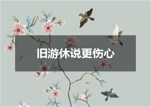 旧游休说更伤心