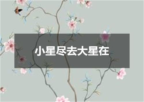 小星尽去大星在