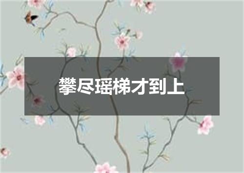 攀尽瑶梯才到上
