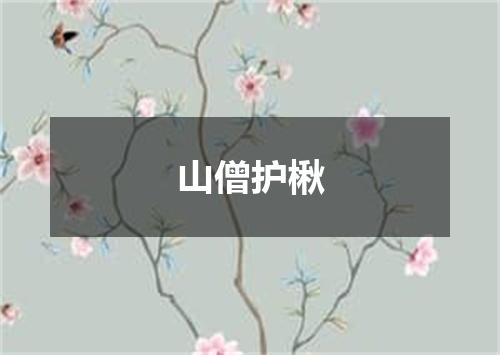 山僧护楸
