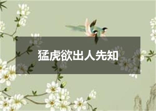 猛虎欲出人先知
