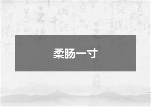 柔肠一寸