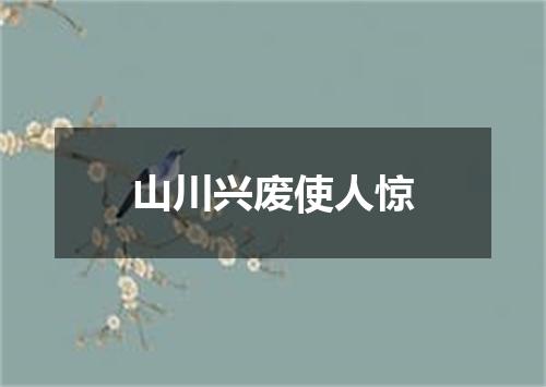 山川兴废使人惊