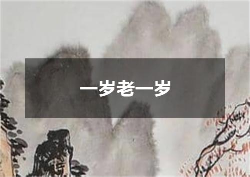 一岁老一岁