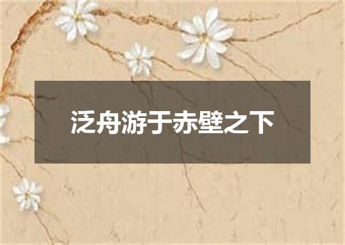 泛舟游于赤壁之下