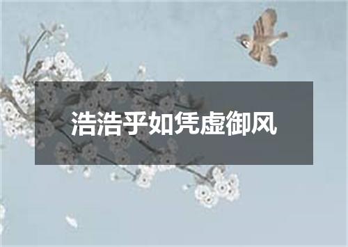 浩浩乎如凭虚御风