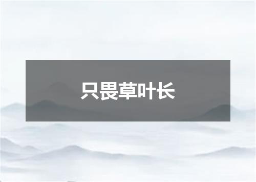 只畏草叶长