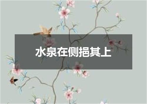水泉在侧挹其上