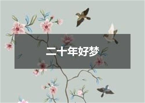 二十年好梦