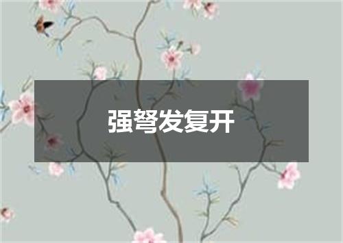 强弩发复开