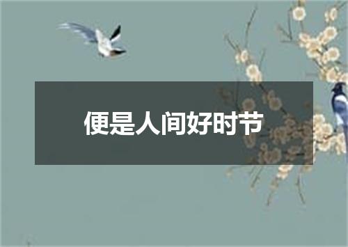 便是人间好时节