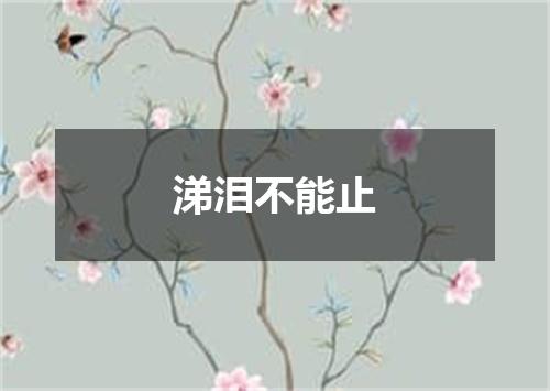 涕泪不能止