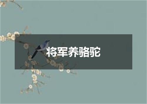将军养骆驼