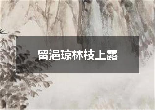 留浥琼林枝上露