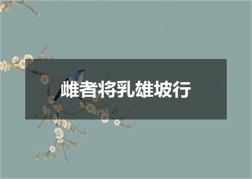 雌者将乳雄坡行
