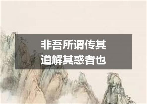 非吾所谓传其道解其惑者也