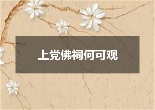 上党佛祠何可观