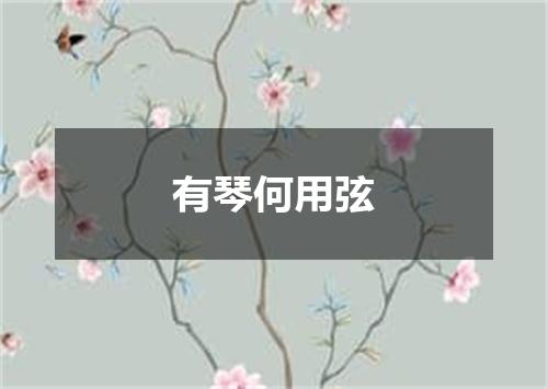 有琴何用弦