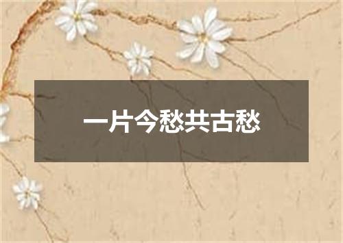 一片今愁共古愁