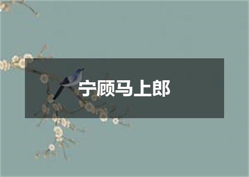 宁顾马上郎