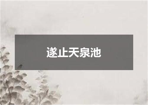 遂止天泉池