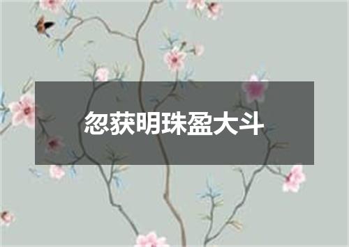 忽获明珠盈大斗