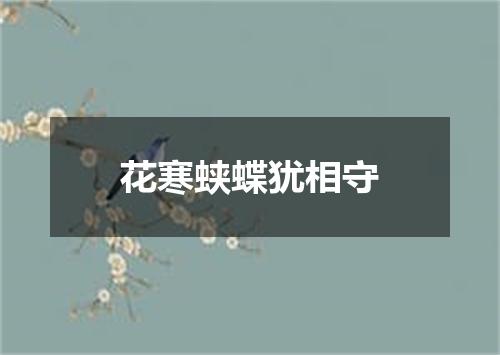 花寒蛱蝶犹相守