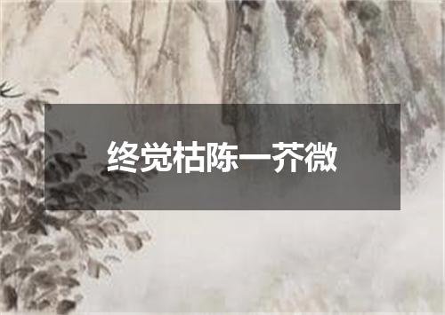 终觉枯陈一芥微