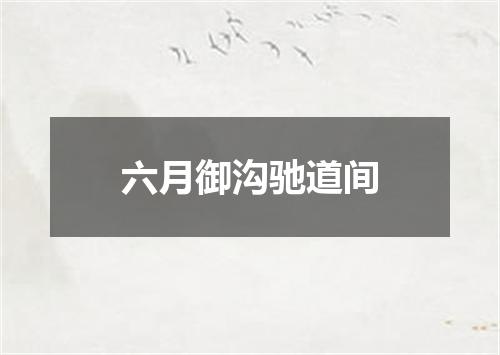 六月御沟驰道间