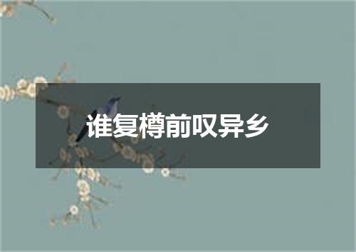 谁复樽前叹异乡
